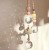 IMG_2267.jpeg