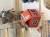 IMG_8607.jpeg